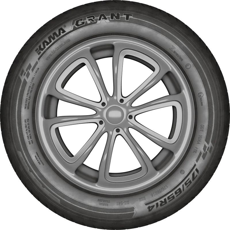 KAMA GRANT (НК-241) в Асине — KAMA TYRES KAMA GRANT (НК-241) в Асине