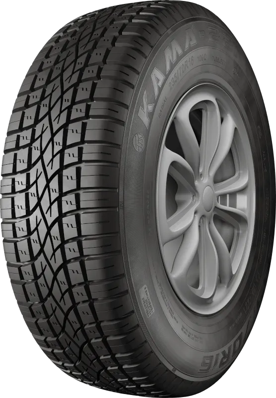 KAMA-221 в Асине — KAMA TYRES KAMA-221 в Асине